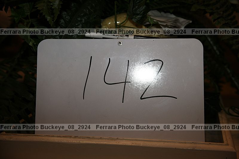 Proof buckeye_08_2924