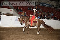 buckeye_08_2929 proof