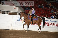 buckeye_08_2936 proof