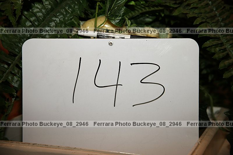 Proof buckeye_08_2946