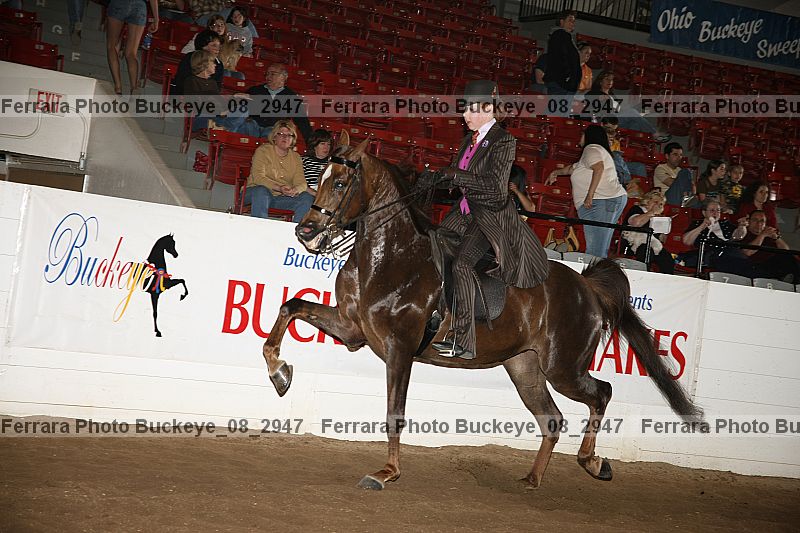 Proof buckeye_08_2947
