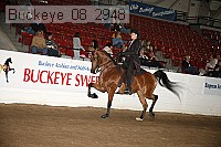 buckeye_08_2948 proof