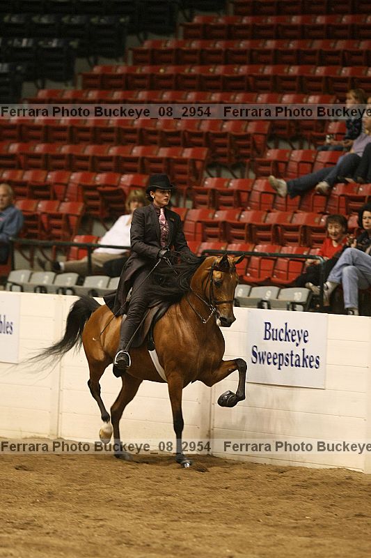 Proof buckeye_08_2954