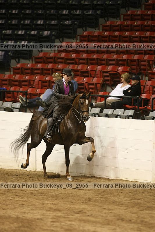 Proof buckeye_08_2955