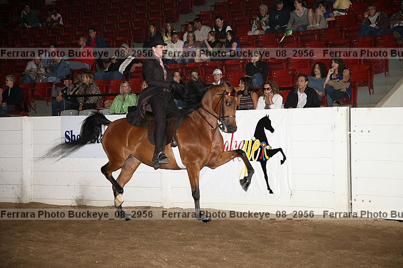 Proof buckeye_08_2956