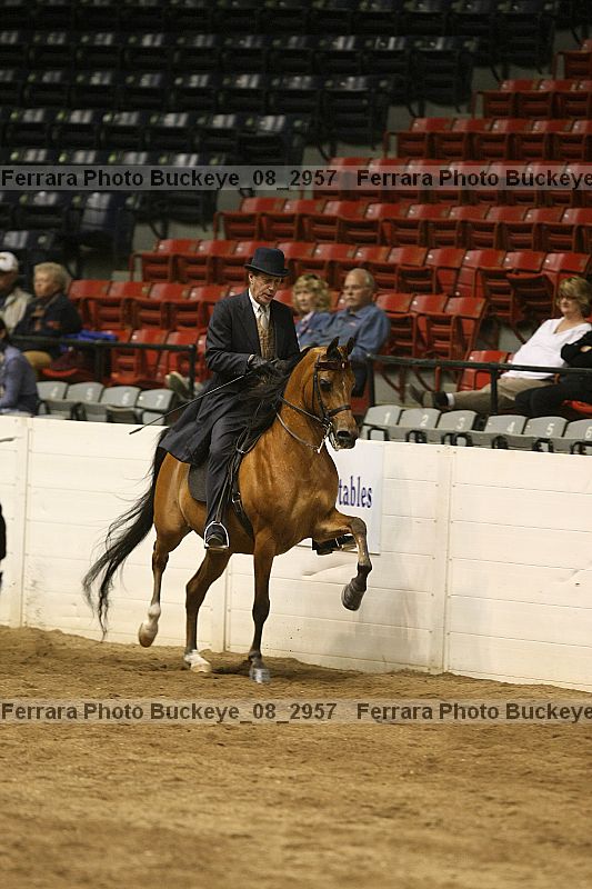 Proof buckeye_08_2957