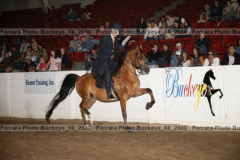 Proof buckeye_08_2960