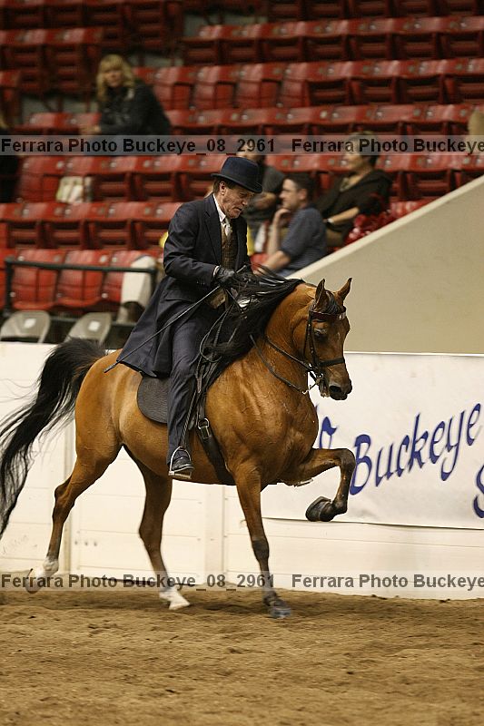 Proof buckeye_08_2961