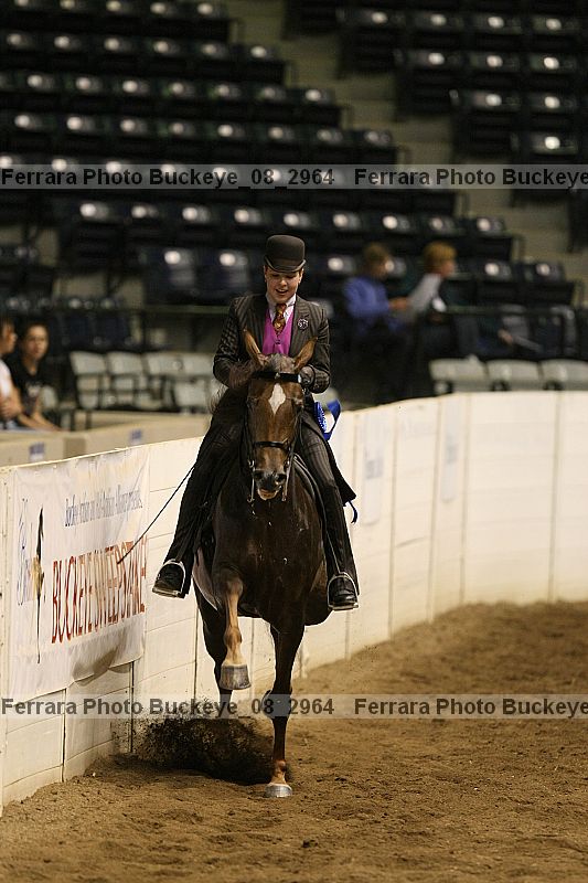 Proof buckeye_08_2964