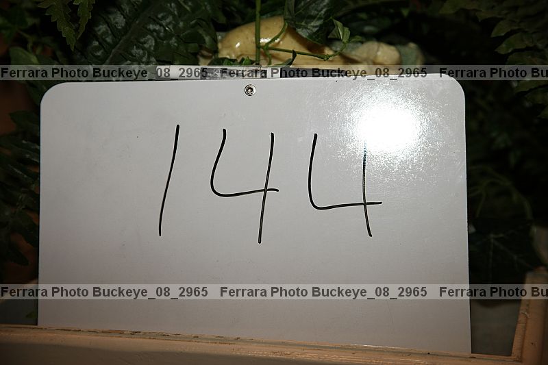 Proof buckeye_08_2965