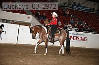 buckeye_08_2972 proof