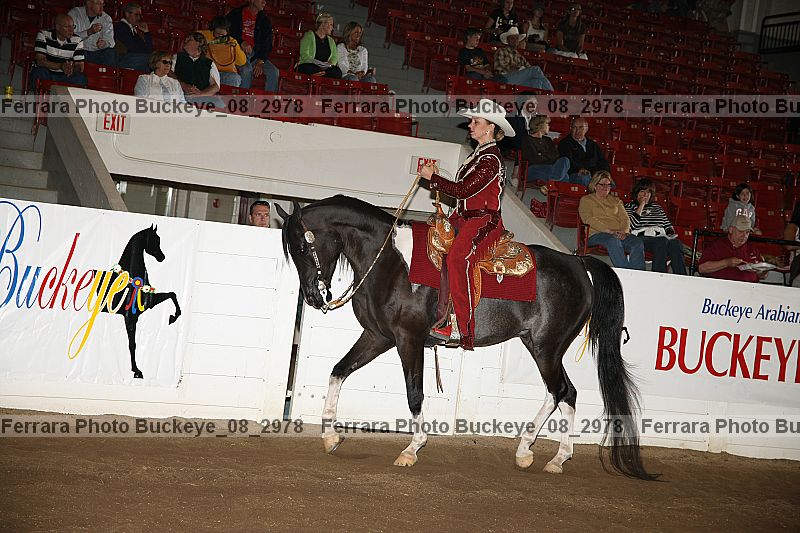 Proof buckeye_08_2978