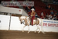 buckeye_08_2985 proof