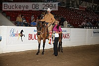 buckeye_08_2994 proof