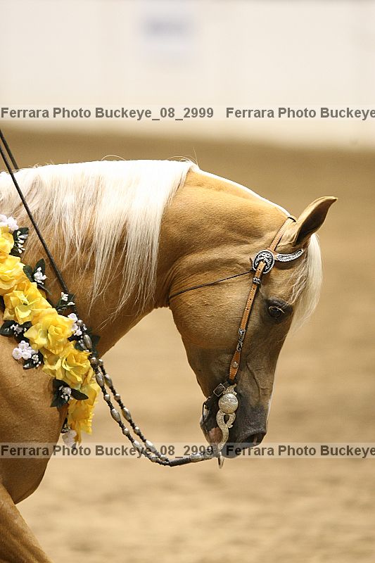 Proof buckeye_08_2999