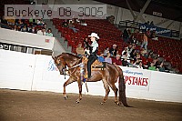 buckeye_08_3005 proof