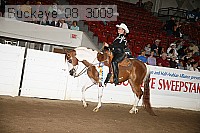 buckeye_08_3009 proof