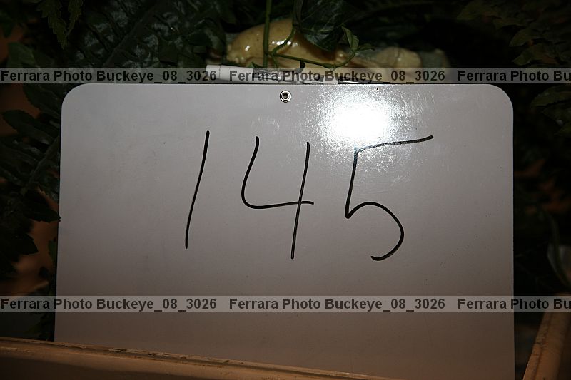 Proof buckeye_08_3026