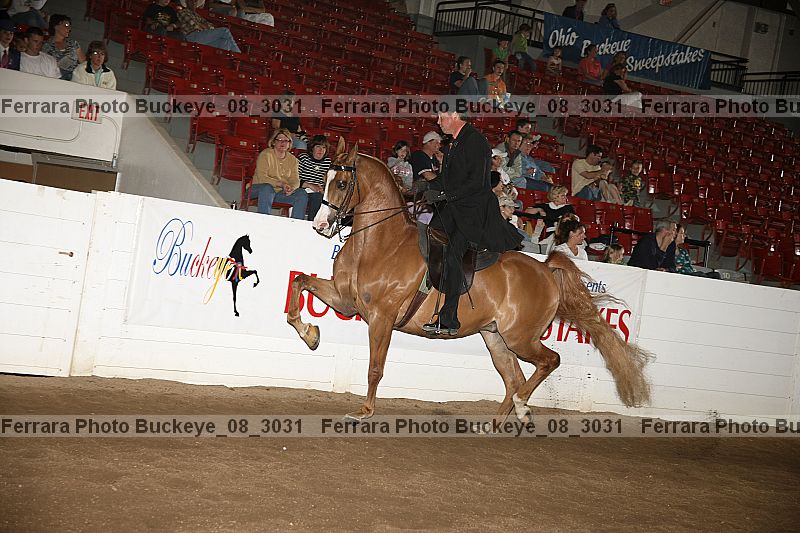 Proof buckeye_08_3031