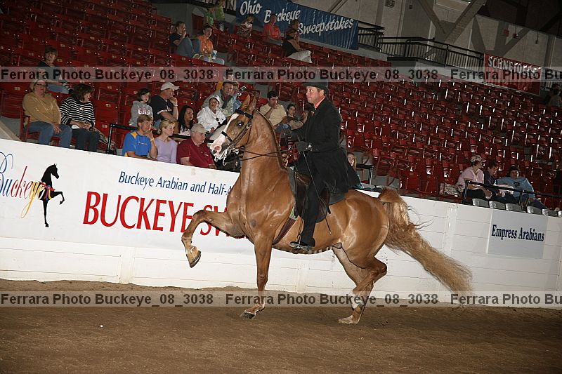 Proof buckeye_08_3038