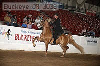 buckeye_08_3038 proof
