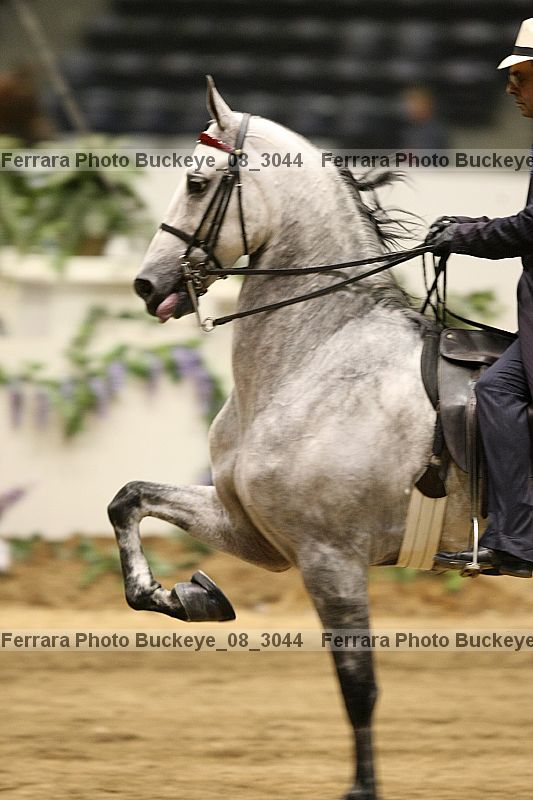 Proof buckeye_08_3044