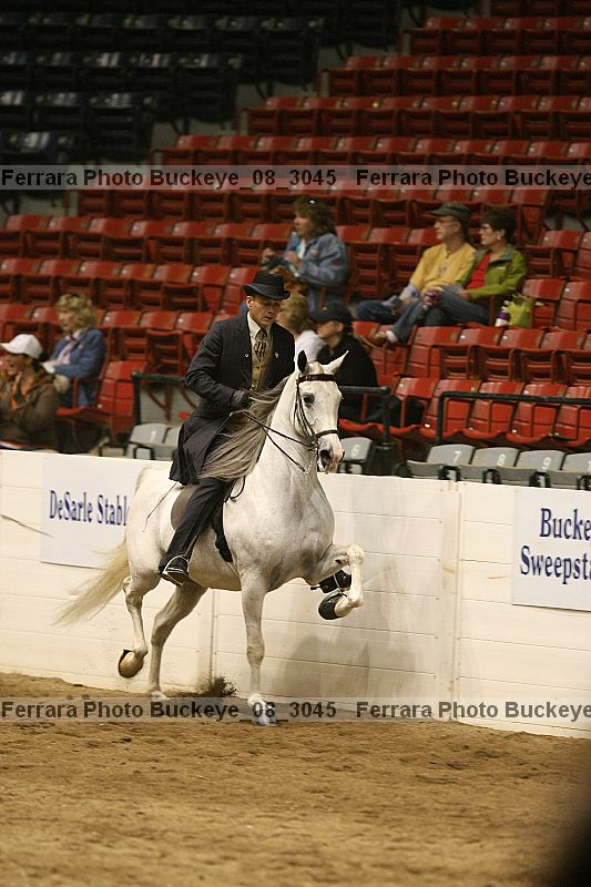 Proof buckeye_08_3045