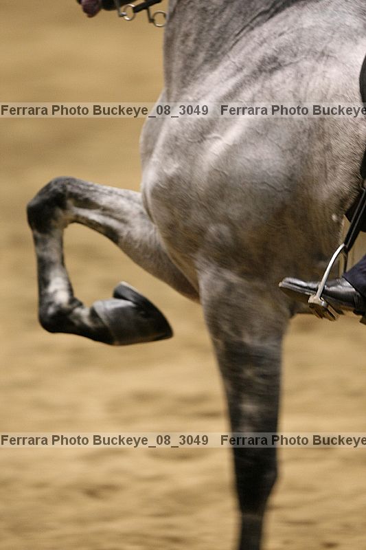 Proof buckeye_08_3049