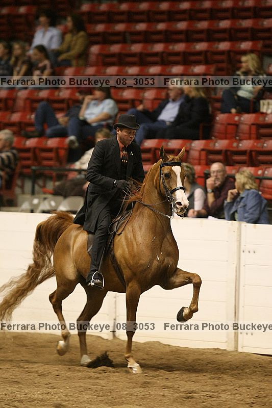 Proof buckeye_08_3053