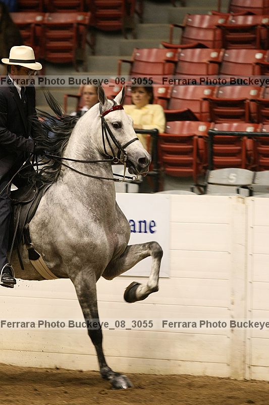 Proof buckeye_08_3055