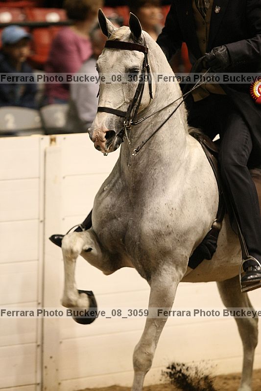 Proof buckeye_08_3059