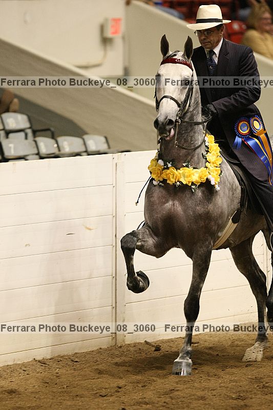 Proof buckeye_08_3060