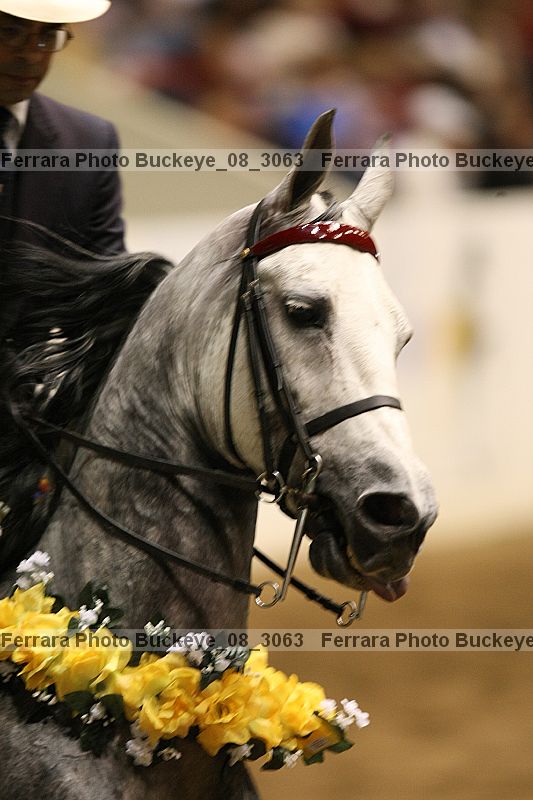 Proof buckeye_08_3063