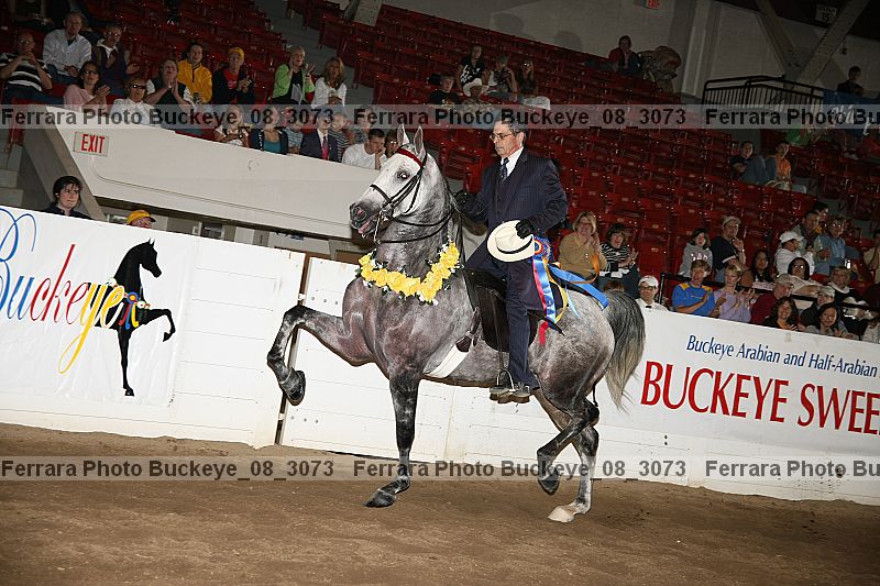 Proof buckeye_08_3073