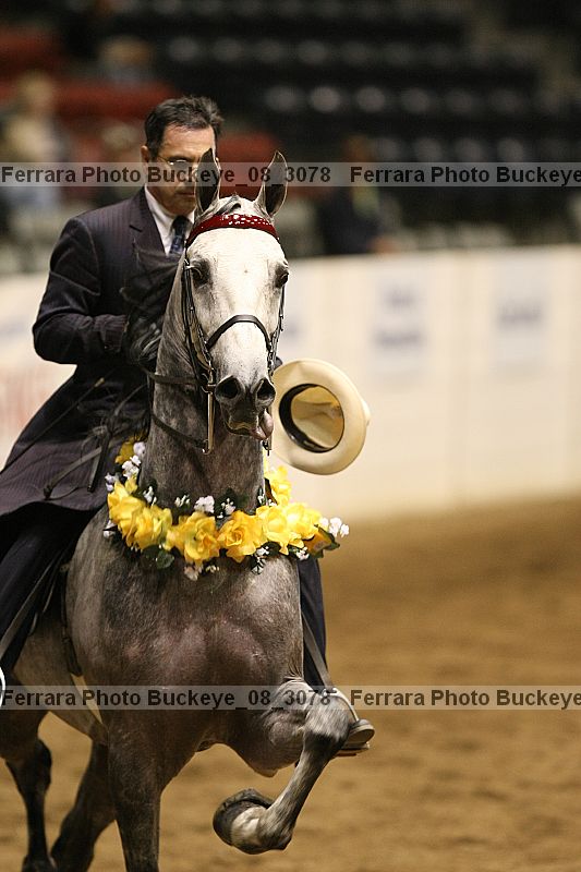 Proof buckeye_08_3078