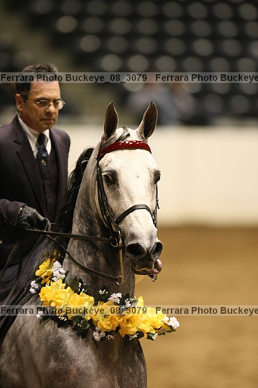 Proof buckeye_08_3079