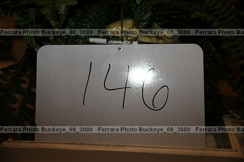 Proof buckeye_08_3080