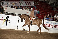buckeye_08_3081 proof