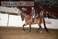 buckeye_08_3082 proof