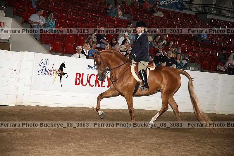 Proof buckeye_08_3083