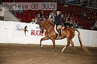 buckeye_08_3083 proof