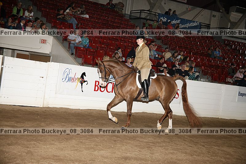 Proof buckeye_08_3084