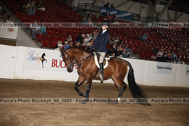 Proof buckeye_08_3085