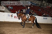 buckeye_08_3085 proof