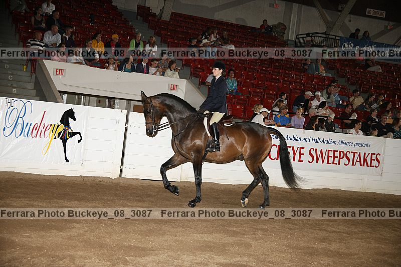 Proof buckeye_08_3087