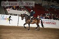 buckeye_08_3087 proof