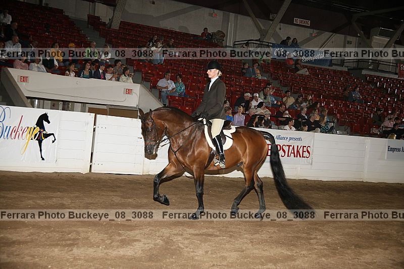 Proof buckeye_08_3088