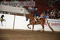 buckeye_08_3089 proof