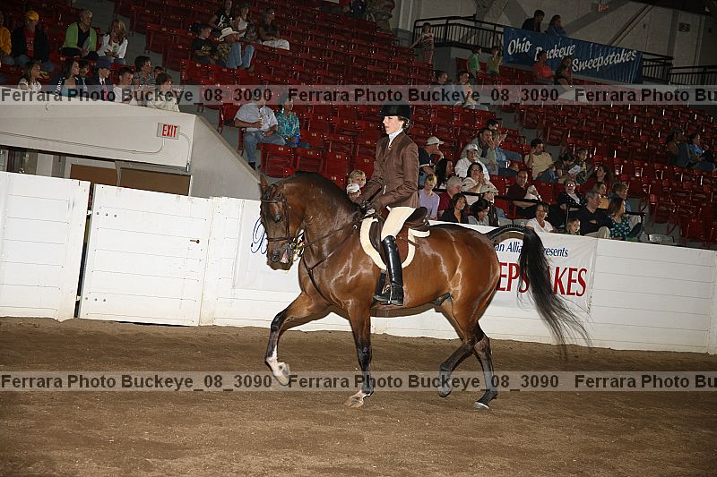 Proof buckeye_08_3090
