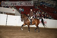 buckeye_08_3090 proof